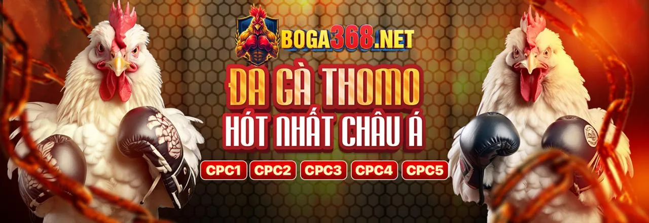 Cài đặt ứng dụng wstar777 win
